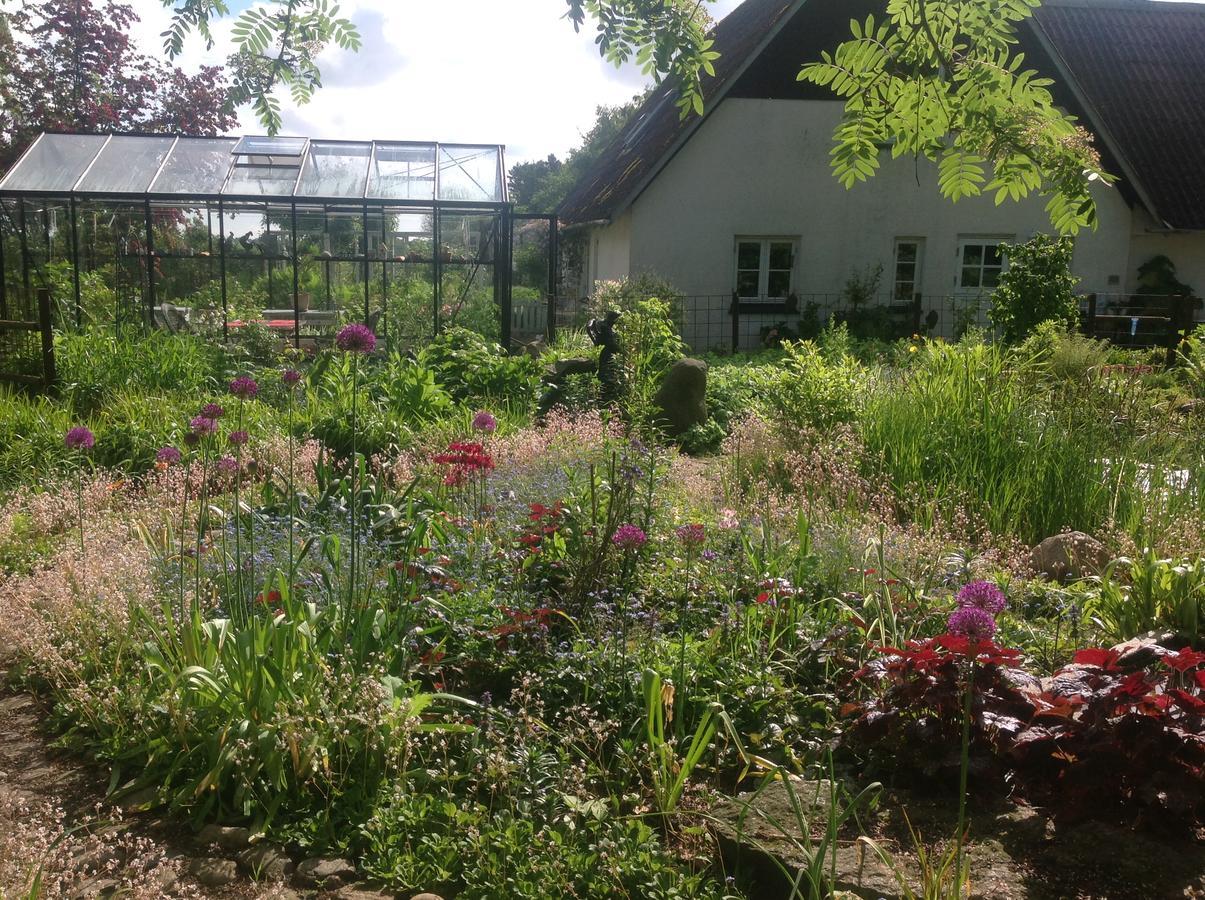 Bed And Breakfast - Stakdelen 47 Allerup Exterior foto